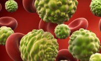 Data issues hit Imperial cancer patients