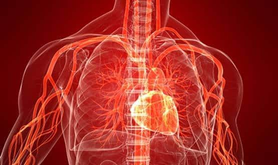 British Heart Foundation award £500k funding to data science projects