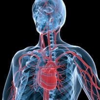 Specialist telehealth service a success
