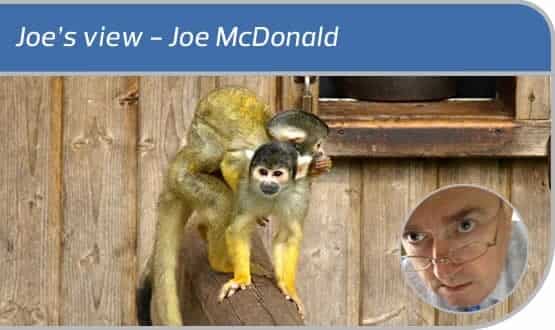 Joe’s view: of capuchins and exemplars