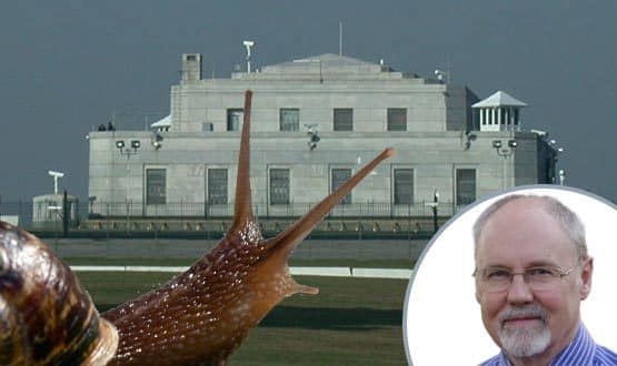 Enter the CCG: on the snail at the backdoor