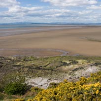 Morecambe gets Horizon View of Lorenzo