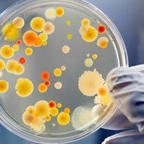 Tech needed to fight resistant bugs