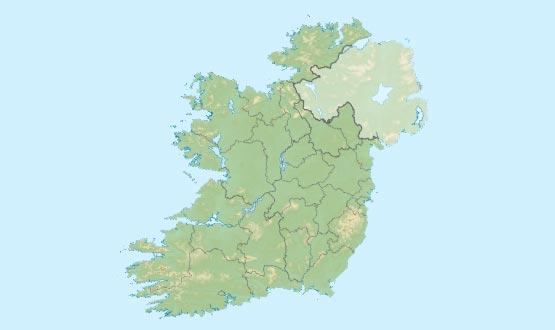 Irish hospital plans records access