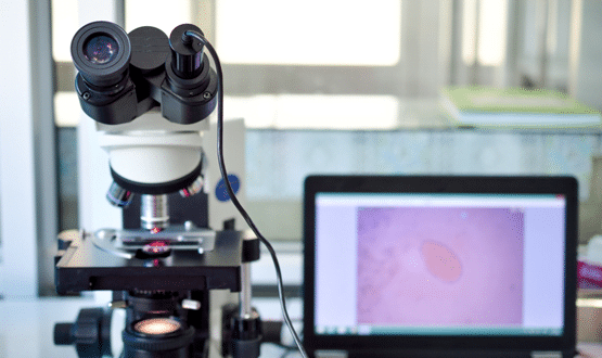 NHS Wales pathology labs undergo IT upgrades from InterSystems