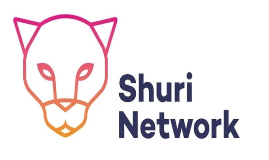 Still time to apply for Shuri Network’s nursing and midwifery fellowship
