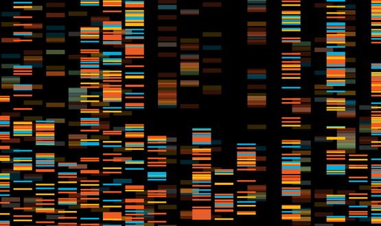 GP patients to be offered whole-genome screening in UK-first study