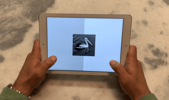 Cognetivity receives £900,000 to trial dementia detection tech with NHS