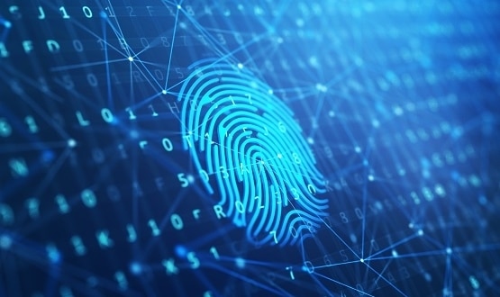 Government looks to digital ‘ID cards’ to enable easier access to services