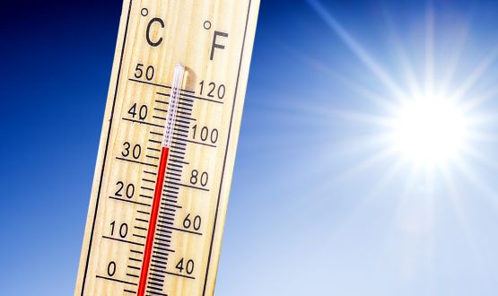 NHS website registers 500% increase in visits for heat exhaustion advice
