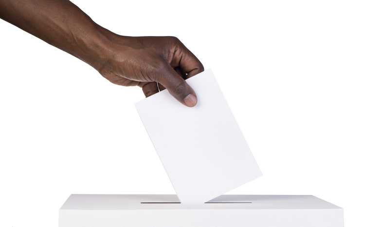 Voting opens for Digital Health Network Advisory Panel elections