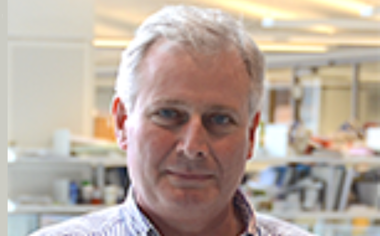 Professor Peter Johnson, NHS national cancer director